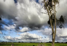 势不可挡，皇家贝蒂斯豪取西甲联赛五连胜.